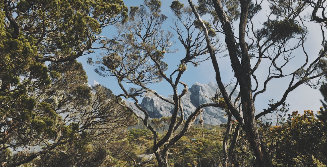 partir-en-voyage-à-bornéo-malaisie