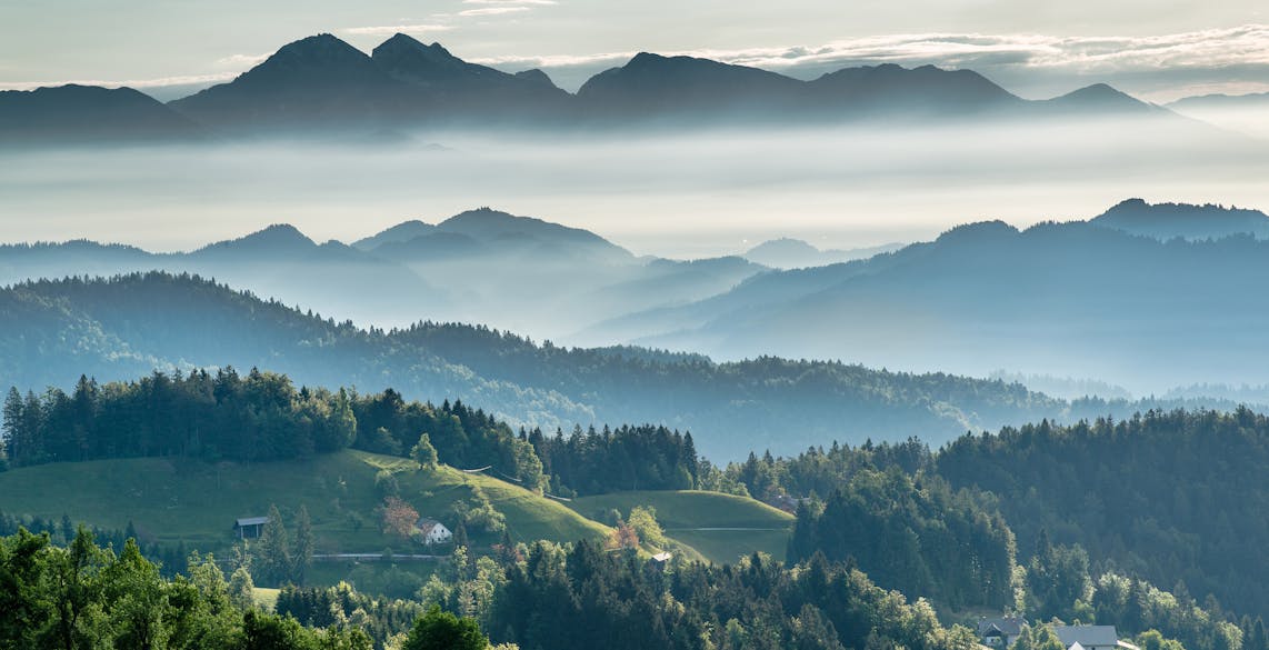 les-plus-belles-forêts-europe
