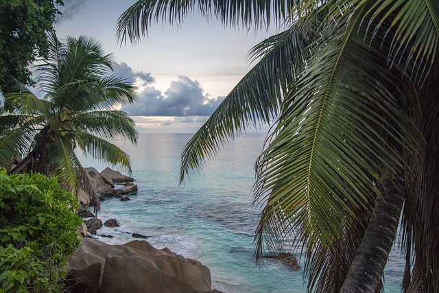 les-meilleures-destinations-tropicales