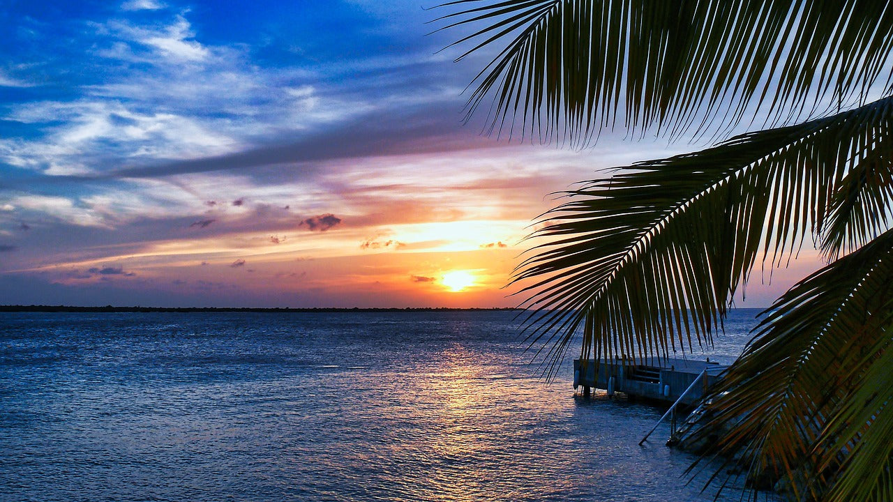 Quand partir en Martinique : guide des saisons et meilleurs moments